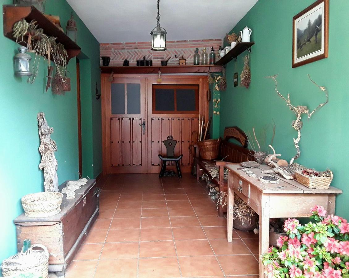 La Fragua De La Vega Estudios Kültér fotó